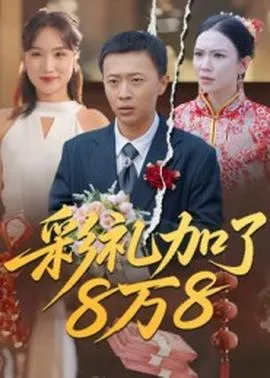 彩礼加了8万8