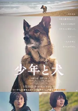 少年与犬