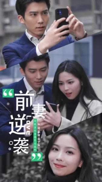 前妻逆袭司总别追了