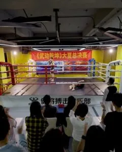 武驰人生2之飓风营救