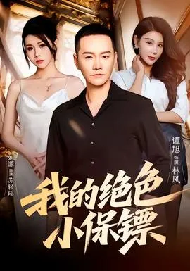 我的绝色小保镖