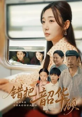 错把韶华顾