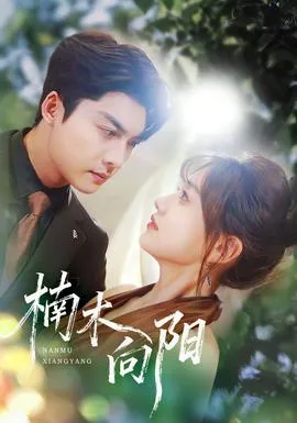 楠木向阳