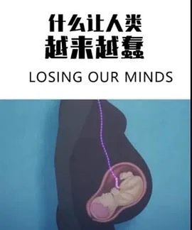 什么让人类越来越蠢