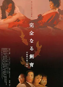 禁室培欲4秘密地下室