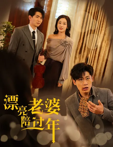 漂亮老婆陪过年