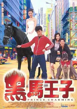黑马王子国语