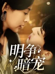 明争暗宠