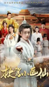 救驾小医仙