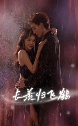 长羡归飞鹤